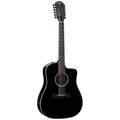  Taylor 250ce-BLK DLX