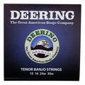  Deering Tenor Banjo Set