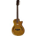  Harley Benton Hybrid Steel NT