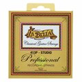  La Bella 413P Professional Studio Set