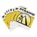  Pyramid 8 String Classical Guitar Set