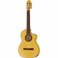  Gewa Pro Arte Flamenco YW E-A