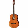  Yamaha CGX 102