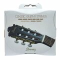  Ibanez ICLS6NT Classguitar String Set