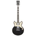  D'Angelico Premier Brighton Black Flake
