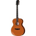  Harley Benton CLG-14SM Solid Top