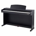  Gewa DP 300G Black