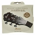  Ibanez IACSP6C Acoustic Steel Strings