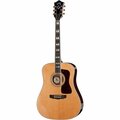  Guild D55 NA USA