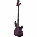  Sandberg Panther TT5 EB Violet Burst