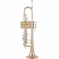  Thomann TR 500 GL Bb-Trumpet