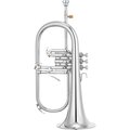 Yamaha YFH-8315 GS 02 Flugelhorn