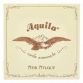  Aquila 52NNG New Nylgut Lute String