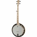 Deering Goodtime Two Banjo