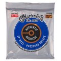 Martin Guitars MA4800 Acoustic Bass Strings