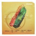  Daddario A414 XSM Ascente Viola C
