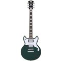  D'Angelico Premier Brighton Sherwood GR