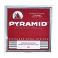 Pyramid 100 Single String bass guitar