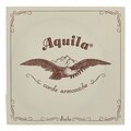  Aquila 155D Wound Nylgut Lute String