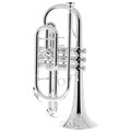  Yamaha YCR-6335 SII Cornet