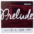  Daddario J1013 1/2M Prelude Cello G