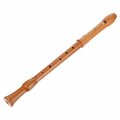  Mollenhauer 2466 Canta Tenor Recorder
