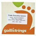  Galli Strings FG014 Viola da Terceira String
