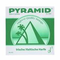  Pyramid Irish / Celtic Harp String d1
