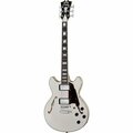  D'Angelico Premier Mini DC Champagne
