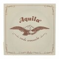  Aquila 100D Wound Nylgut Lute String