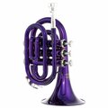  Thomann TR 25 Bb-Pocket Trumpet Purple