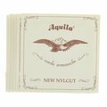  Aquila Renaissance Guitar Strings