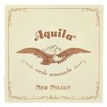  Aquila 40NNG New Nylgut Lute Strings