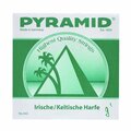  Pyramid Irish / Celtic Harp String g1