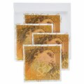  Pirastro Evah Pirazzi Slap Strings Set