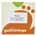  Galli Strings FG005 Rajao Strings
