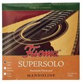  Fisoma F3050D Flatwound Mandolin Str.