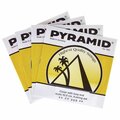  Pyramid Cittern Strings