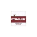  Pyramid 135 Single String bass guitar