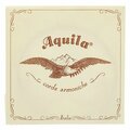  Aquila 145D Wound Nylgut Lute String