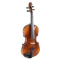  Gewa Allegro VA1 Viola 12