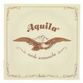 Aquila 108D Wound Nylgut Lute String