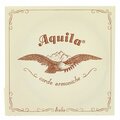  Aquila 185D Wound Nylgut Lute String