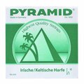  Pyramid Irish / Celtic Harp String h2