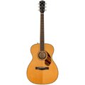 Fender LE PO-220E Orchestra AGN