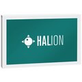  Steinberg HALion