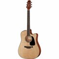  Takamine P2DC