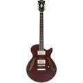  D'Angelico Excel SS Tour Collection SW