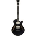  D'Angelico Excel SS Tour Collection SB