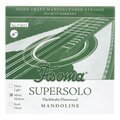  Fisoma F3051M Mandolin E-Str. 1 Pair